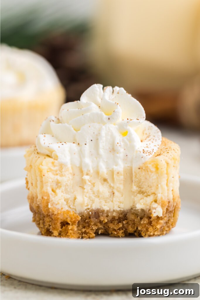 Festive Eggnog Cheesecake Bites 5 mini eggnog cheesecake with a portion cut away to show the inside texture
