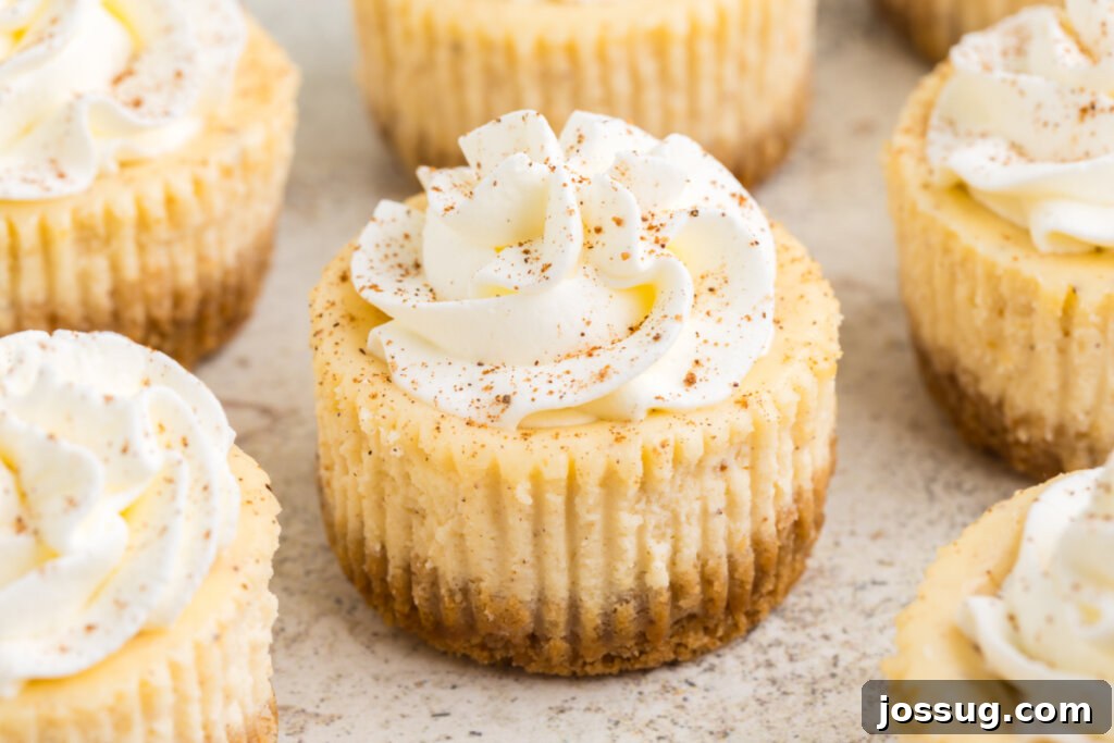 Festive Eggnog Cheesecake Bites 6 mini eggnog cheesecakes on table