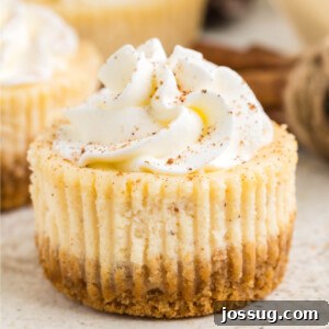 Festive Eggnog Cheesecake Bites 7 closeup of a mini eggnog cheesecake topped with whipped cream