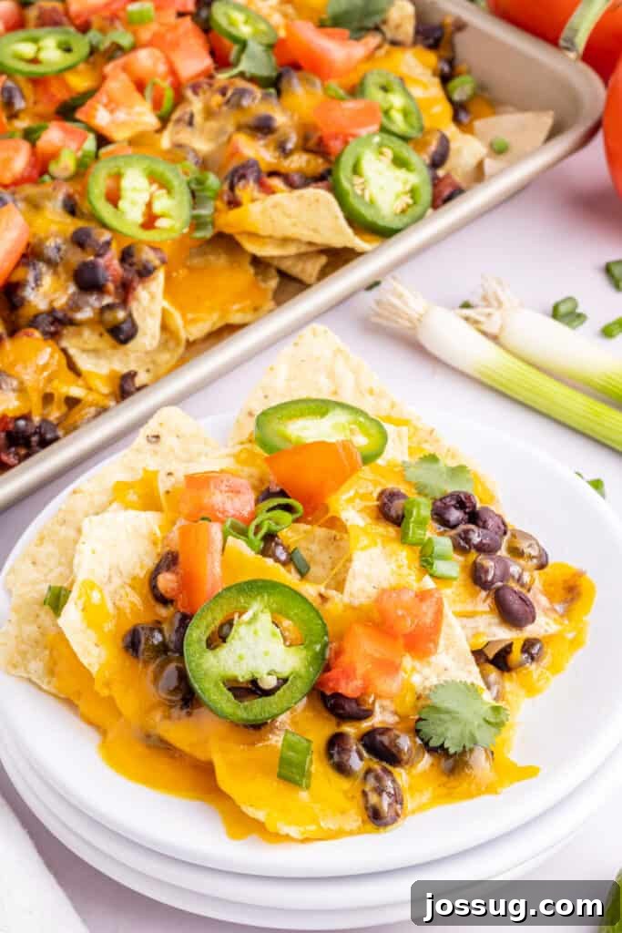 Volcano Black Bean Nachos 2 A delectable portion of loaded spicy black bean nachos served on a plate, showcasing crispy chips, melted cheese, and colorful toppings.
