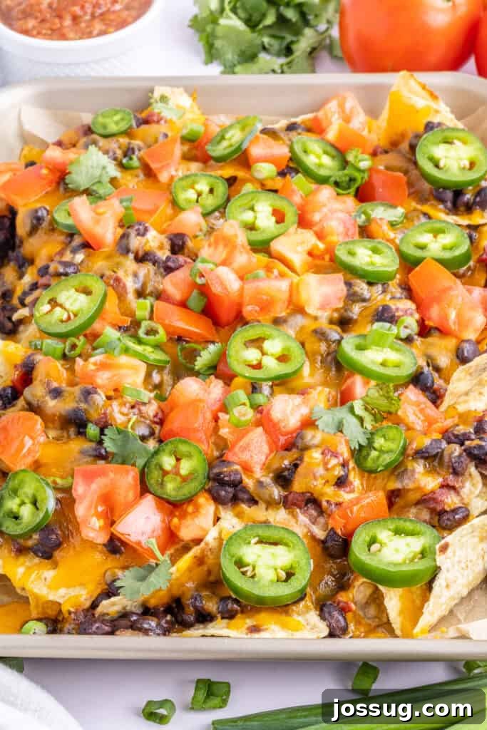 Volcano Black Bean Nachos 4 A close-up shot of the spicy loaded black bean nachos on a sheet pan, highlighting the rich bean mixture and melted cheese.
