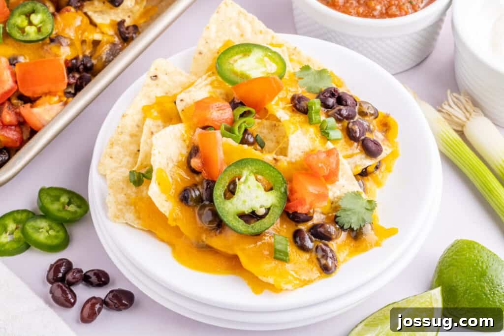 Volcano Black Bean Nachos 6 A vibrant plate featuring a single portion of spicy loaded black bean nachos, showcasing the fresh toppings.