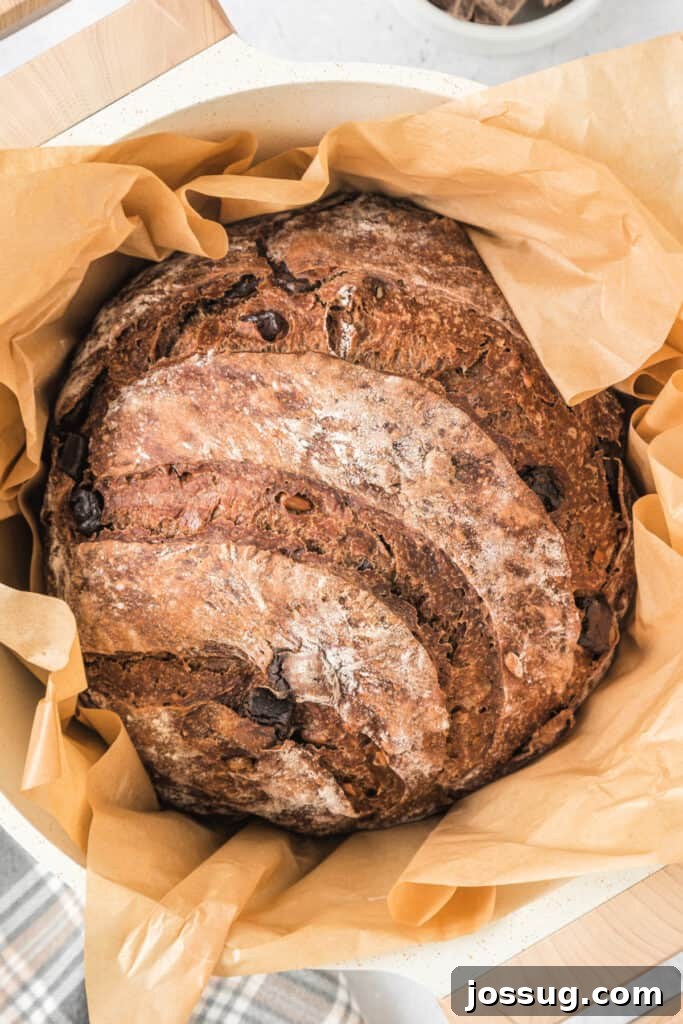Chocolate no-knead bread baking in a preheated Dutch oven, showcasing the rising dough