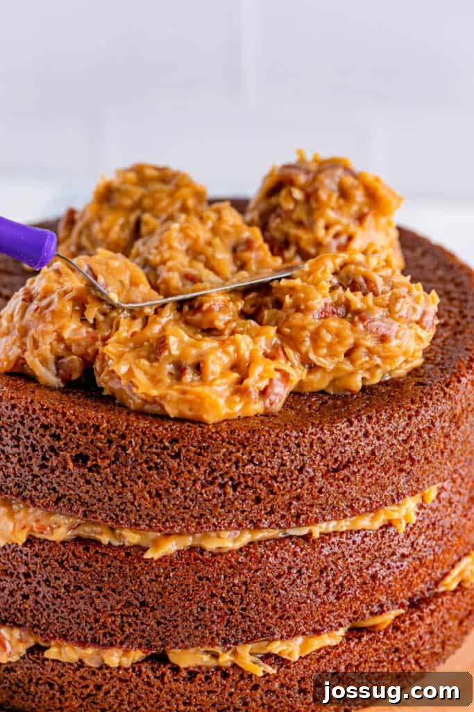 Toasted Coconut Pecan Frosting 11 A wide shot of a cake being generously frosted with homemade Coconut Pecan Frosting, showcasing the even spread and delicious texture of the topping.