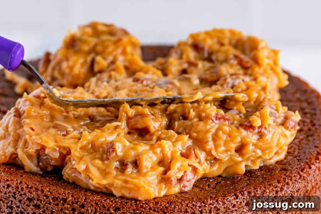 Toasted Coconut Pecan Frosting 12 A delicious cake generously covered with golden-brown Coconut Pecan Frosting, highlighting the rich texture of the coconut and pecans, making it irresistible.