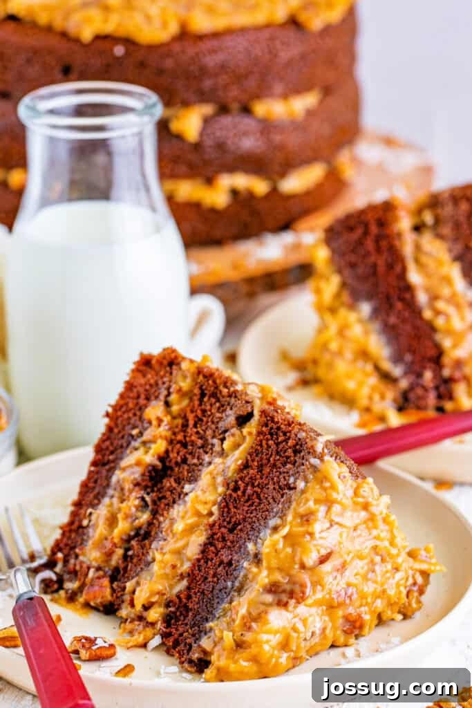 Chocolate Coconut Pecan Delight 2 slice of german chocolate cake on plate