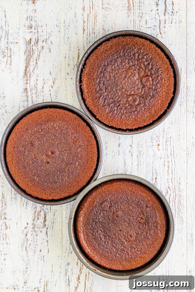 Chocolate Coconut Pecan Delight 13 Bake for 23-28 minutes until a toothpick inserted into the center comes out clean.
Bake for 23-28 minutes until a toothpick inserted into the center comes out clean. Let the cakes cool in the pan completely on a wire rack.