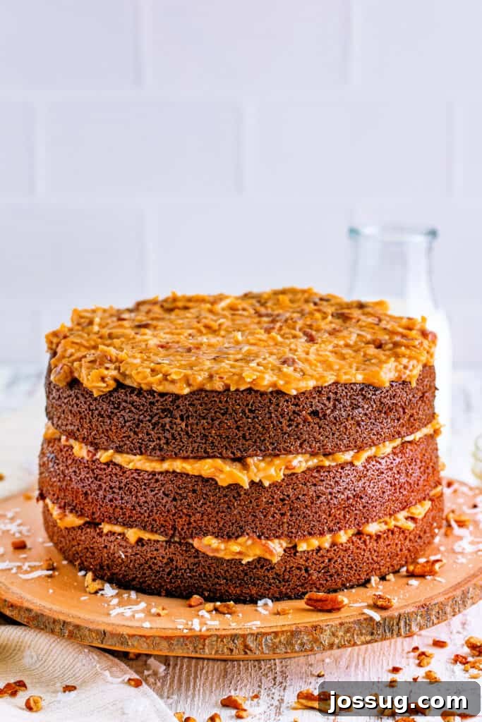 Chocolate Coconut Pecan Delight 3 whole frosted german chocolate cake