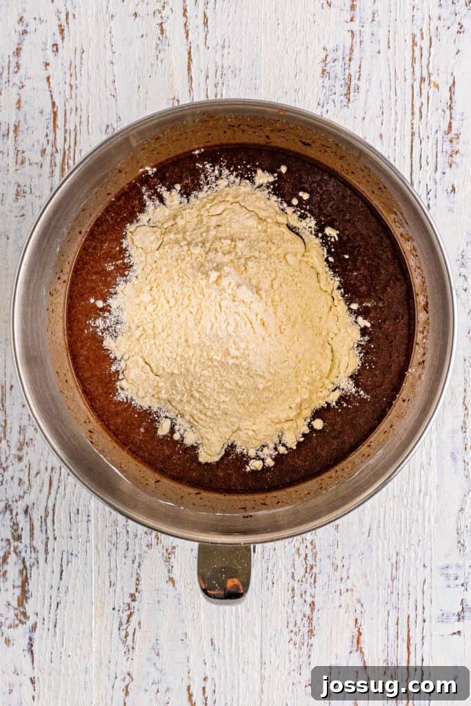 Chocolate Coconut Pecan Delight 9 Pour the dry mixture into the wet ...