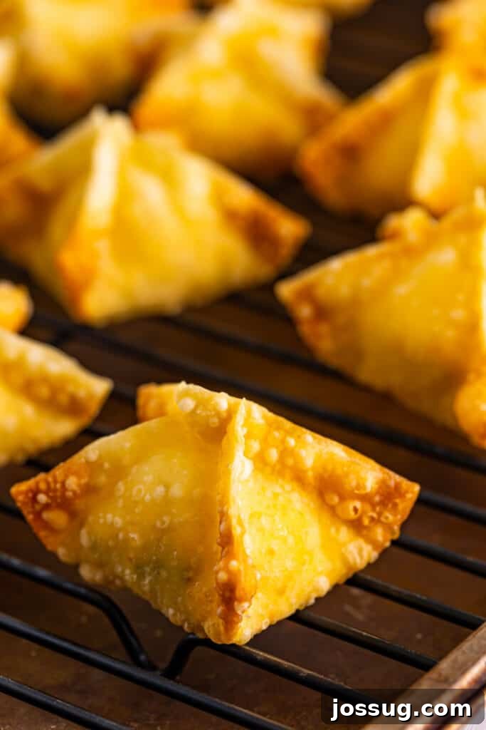 Crispy Crab Clouds 14 then immediately place them onto a wire rack placed on top of a sheet tray. Repeat with the remaining wontons.