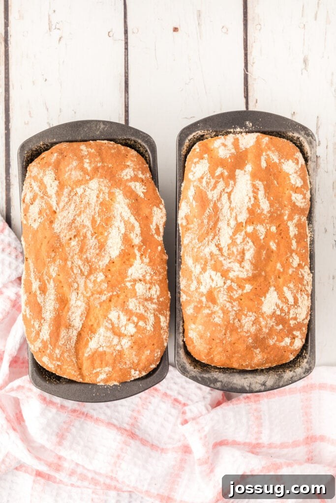 Bake the bread for 35 minutes or until the tops are golden brown. Remove immediately from pans and cool on wire racks.