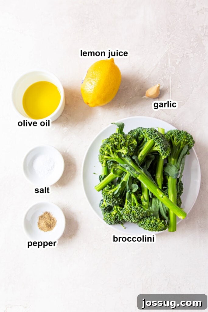 Crispy Air-Fried Broccolini 3 ingredients to make air fryer broccolini