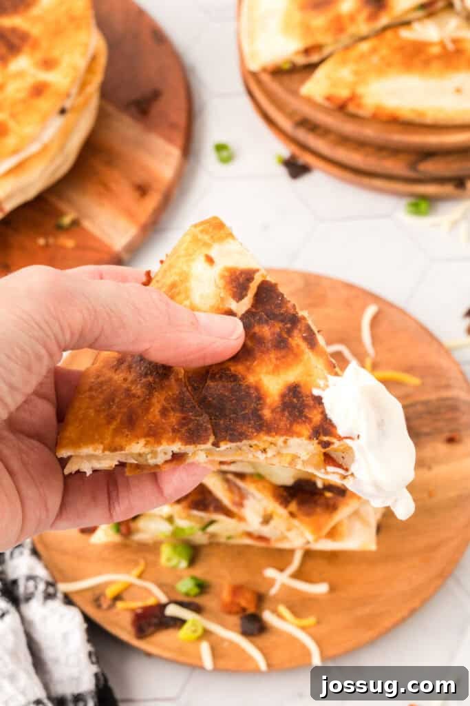Gourmet Spud Quesadilla 5 hand holding a loaded baked potato quesadilla that was dipped in sour cream