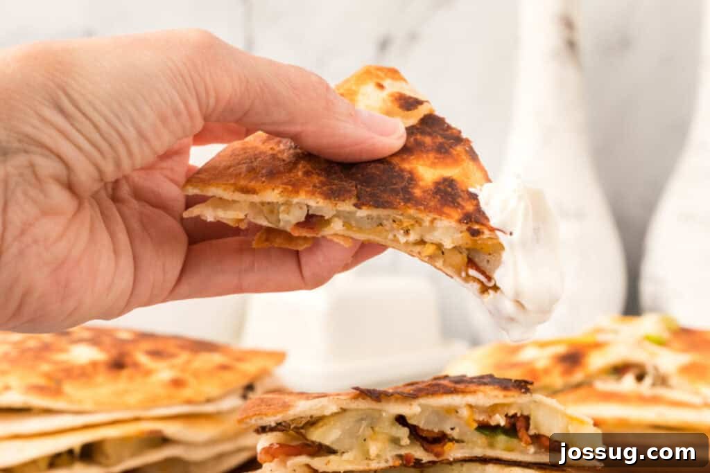 Gourmet Spud Quesadilla 6 hand holding a potato quesadilla