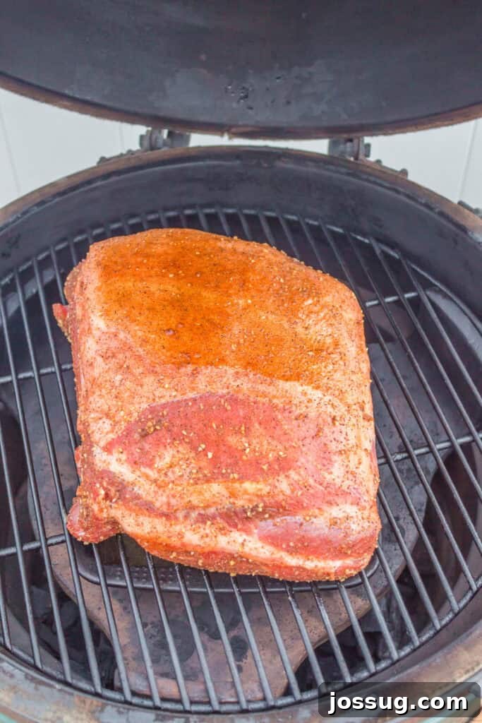Boston butt placed fat side up on a grill, ready for low and slow cooking, with a thermometer visible.