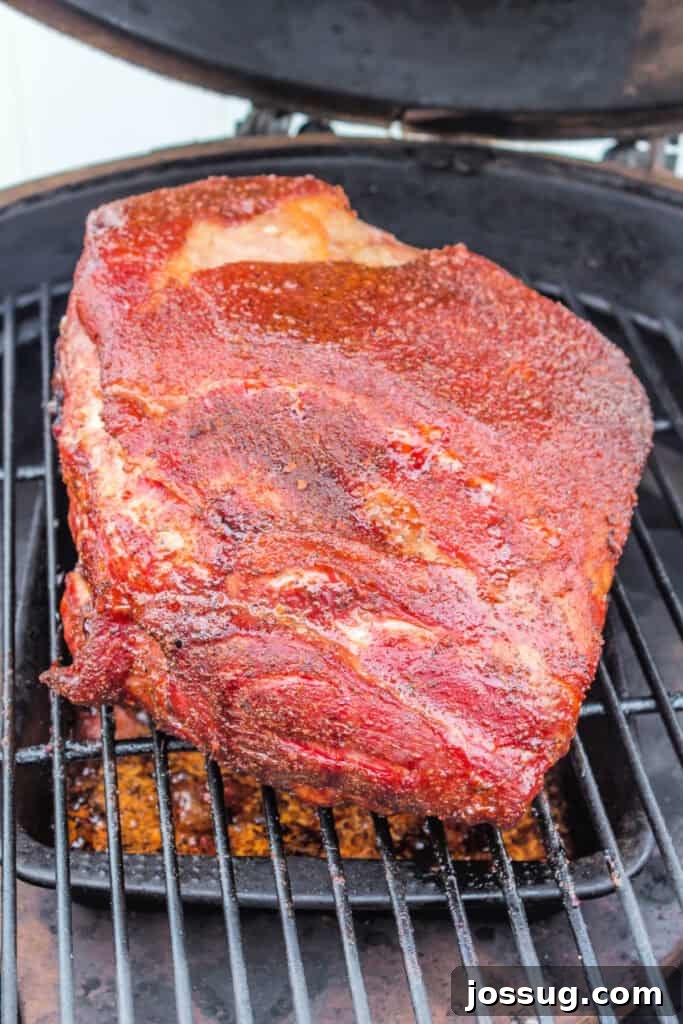 Close-up of Boston butt developing a mahogany bark halfway through grilling, indicating progress and flavor development.