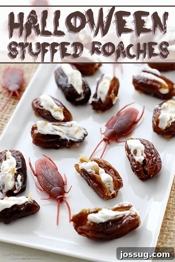 Spooky Stuffed Critters 2 Halloween Stuffed Roaches arranged artfully on a white serving plate, looking like real insects.