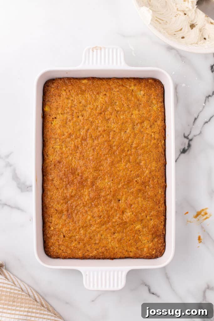 A baked carrot cake cooling in a 9x13-inch baking pan, its golden-brown top indicating perfect doneness