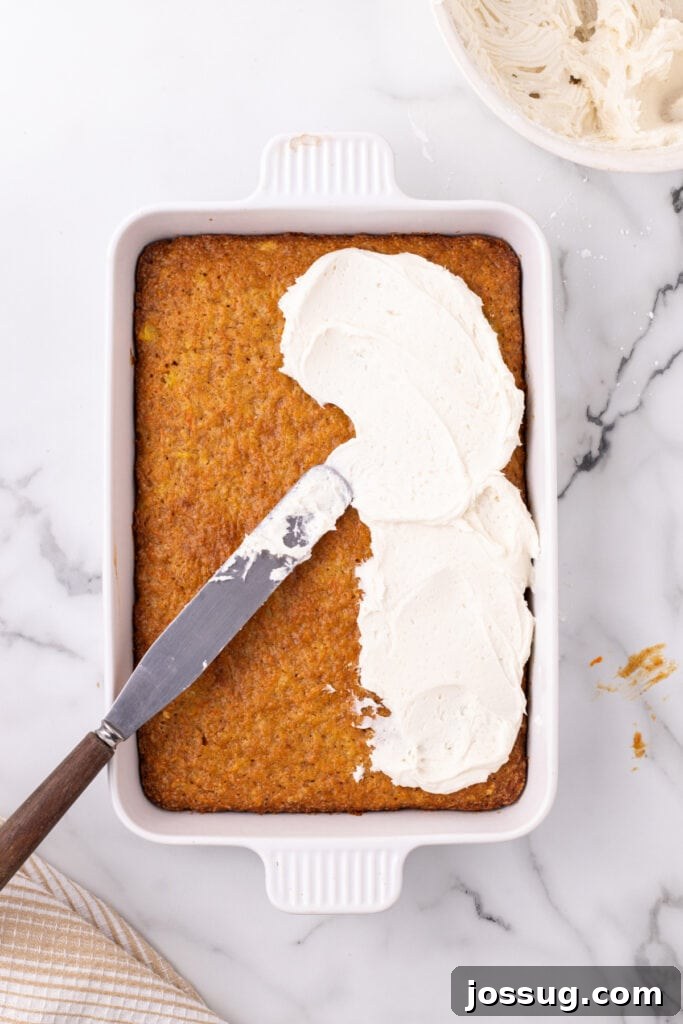 Cream cheese frosting being smoothly spread over the cooled carrot cake in the baking pan, preparing it for serving