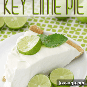 Cool & Zesty Key Lime Delight 2 No-Bake Key Lime Pie on a plate with fresh limes.