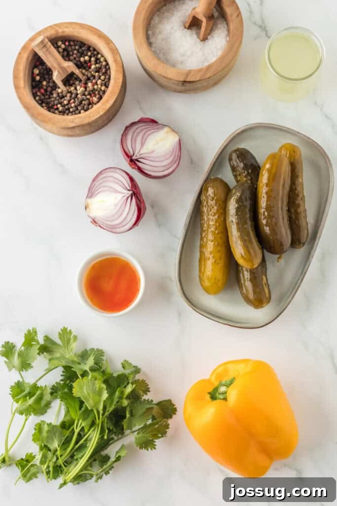 Ingredients for Pickle de Gallo arranged on a white countertop, including dill pickles, red onion, bell pepper, sriracha, cilantro, salt, pepper, and pickle brine.