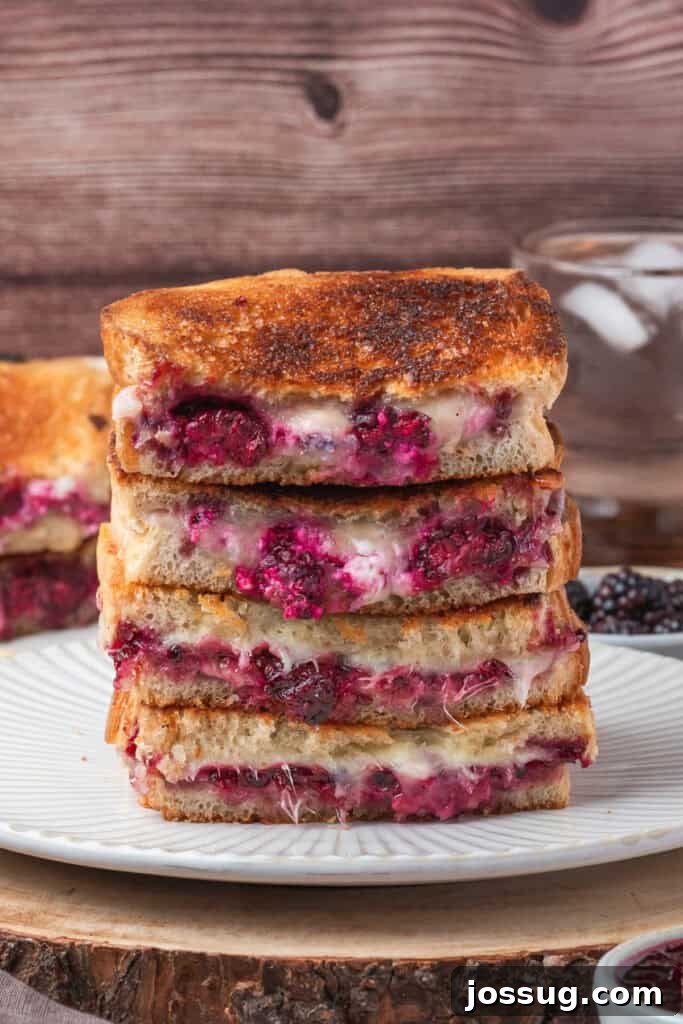 Sweet and Savory Blackberry Grilled Cheese 2 Tower of four blackberry grilled cheese sandwich halves stacked on a white plate, showcasing the melty cheese and vibrant jam filling