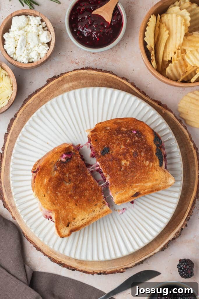 Sweet and Savory Blackberry Grilled Cheese 14 A halved blackberry grilled cheese sandwich presented on a plate with potato chips, small bowls of jam, and cheese