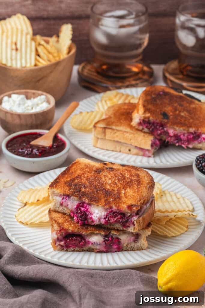 Sweet and Savory Blackberry Grilled Cheese 15 A full plate featuring a grilled cheese sandwich, crispy potato chips, and bowls of jam and lemon in the foreground