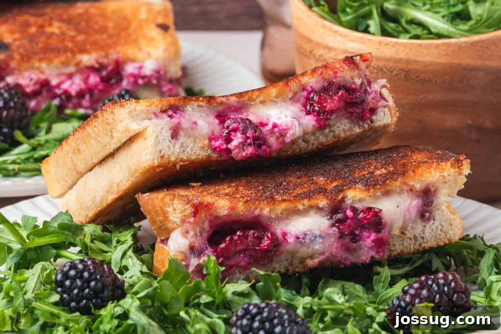 Sweet and Savory Blackberry Grilled Cheese 17 Close-up of stacked grilled cheese sandwiches, revealing the delectable blackberry filling and perfectly melted cheese oozing out
