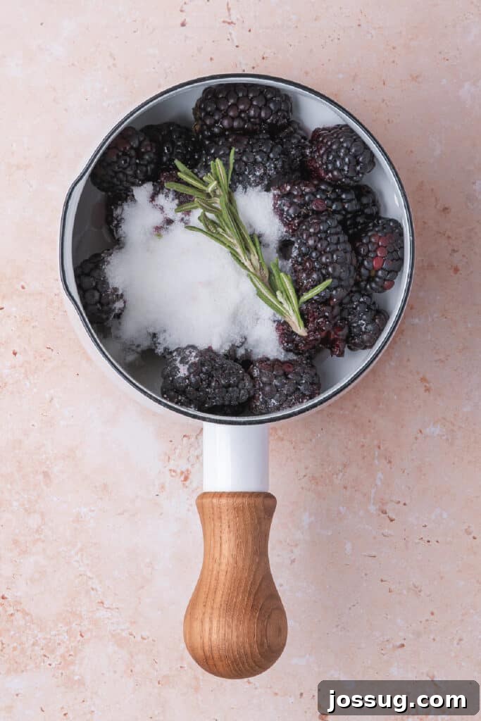 Sweet and Savory Blackberry Grilled Cheese 4 Fresh blackberries, rosemary, and sugar in a white saucepan before cooking, ready to be transformed into jam