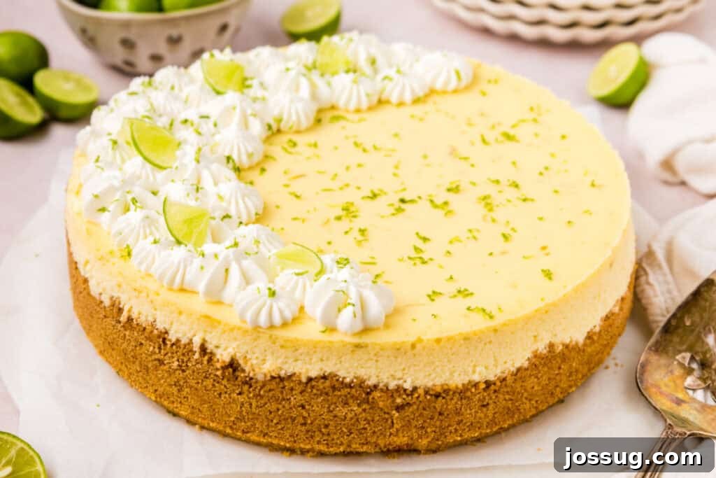 Side angle of Key Lime Cheesecake with delicate lime zest and perfectly piped whipped cream rosettes, highlighting its height and elegant presentation