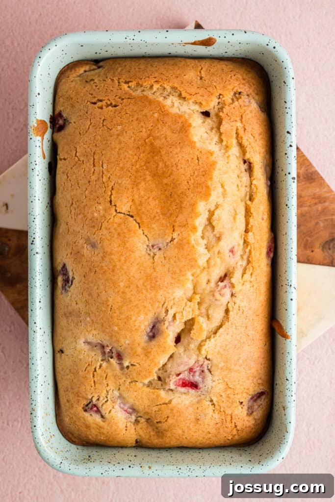 Sweet Strawberry Loaf 15 A freshly baked strawberry bread loaf with a beautiful golden brown top, still resting warm in its speckled loaf pan after baking.