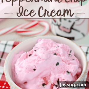 No-Churn Peppermint Chip Ice Cream in a bowl.