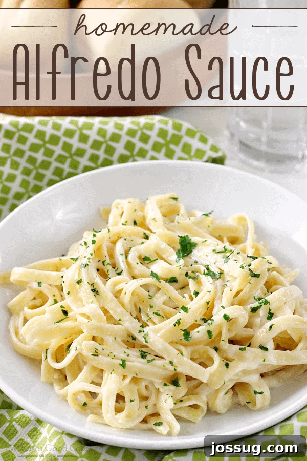 Velvety Homemade Alfredo Sauce 2 A beautifully presented bowl of creamy homemade Alfredo sauce, garnished with fresh herbs and ready to serve.