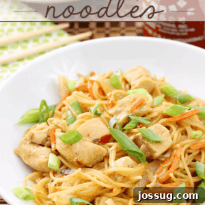 One Pan Chicken & Orange Chile Noodles in a white bowl, garnished with green onions.