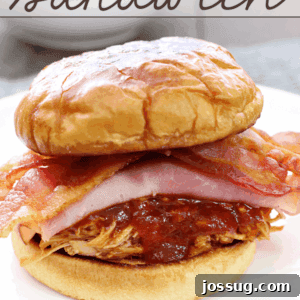 Hog Wild Sammich on a white plate, close-up