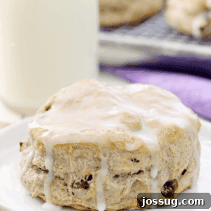 Cinnamon Raisin Biscuit on a white plate with a glass of milk.