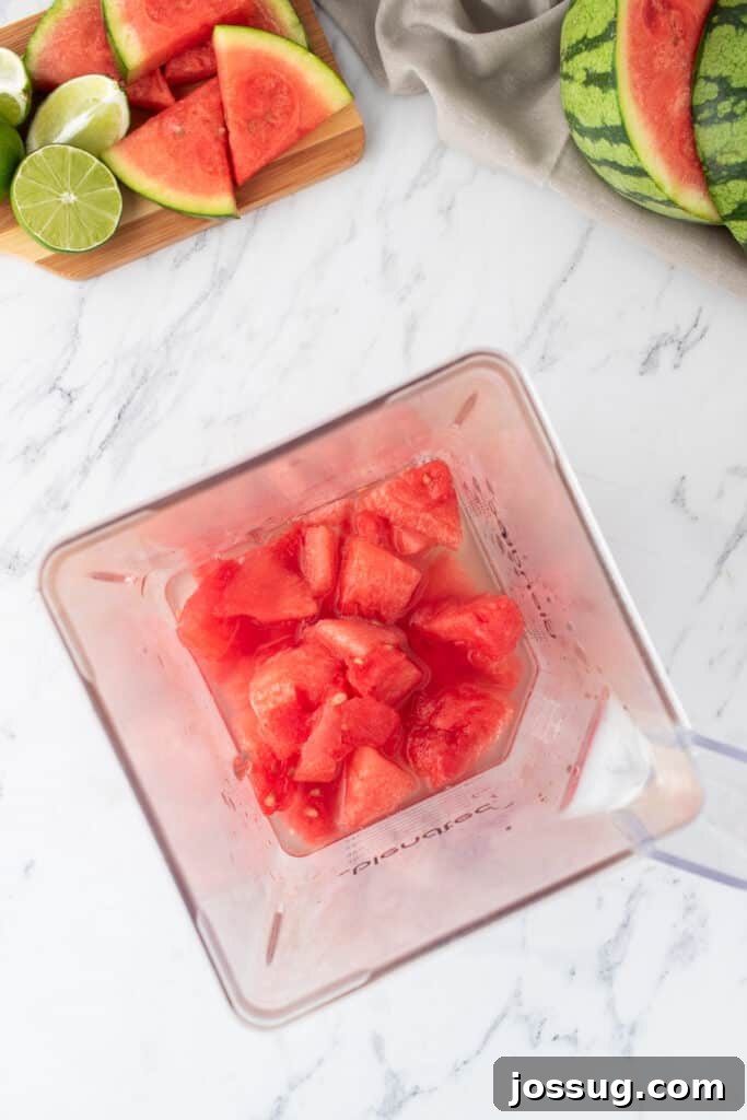 Crimson Wave Margarita 6 Blender filled with fresh watermelon chunks and a bottle of tequila, ready to be mixed for margaritas