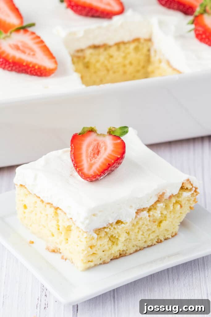 Creamy Three Milk Dream 2 A single square of beautifully moist Tres Leches Cake, elegantly presented on a white plate. It's generously topped with a swirl of fluffy whipped cream and garnished with a vibrant fresh strawberry slice. In the soft-focus background, a pan filled with more Tres Leches Cake hints at abundance and deliciousness to come.