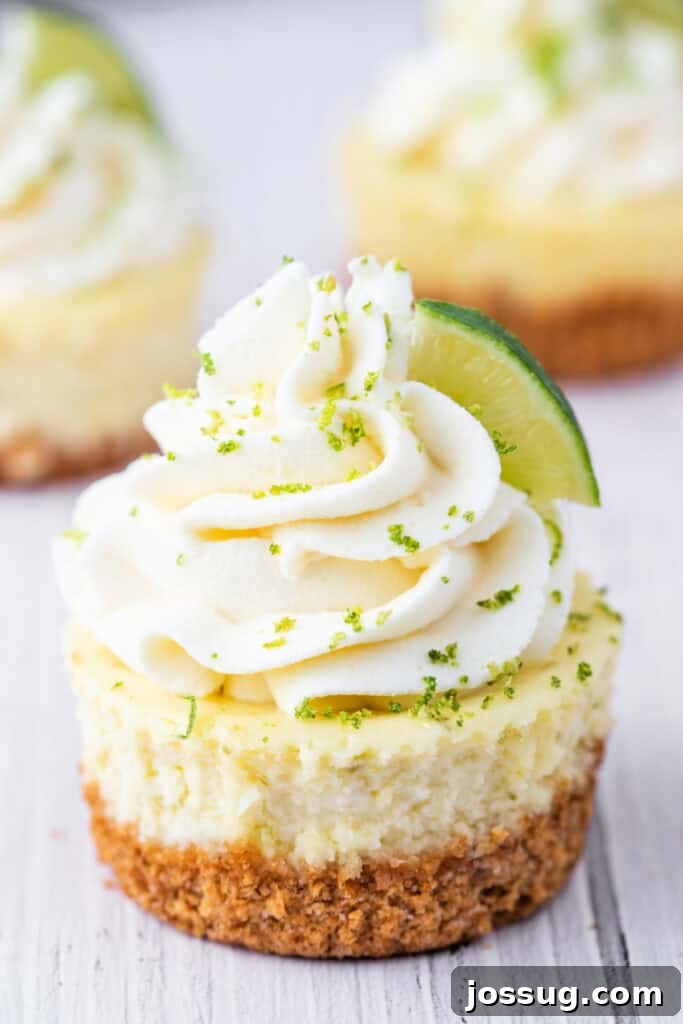 Zesty Mini Key Lime Cheesecakes 2 Close-up of a mini key lime cheesecake topped with whipped cream and sprinkled with lime zest