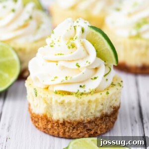 Mini key lime cheesecake with whipped cream swirl, lime zest, and lime slice garnish