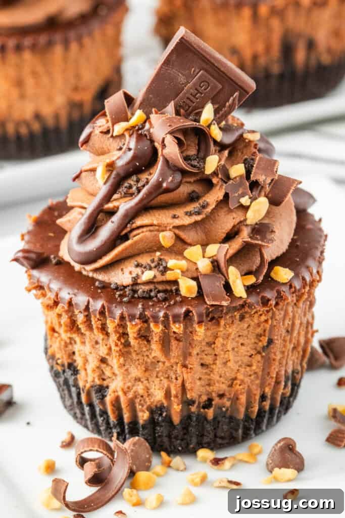 Close-up of a mini chocolate cheesecake topped with ganache, chocolate curls, and crushed peanuts