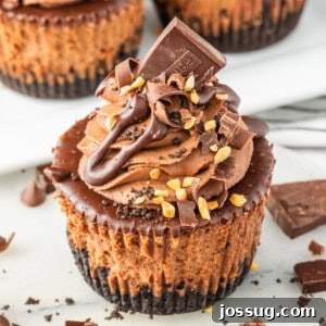 Decorated mini chocolate cheesecake with chocolate bar piece, curls, and ganache drizzle