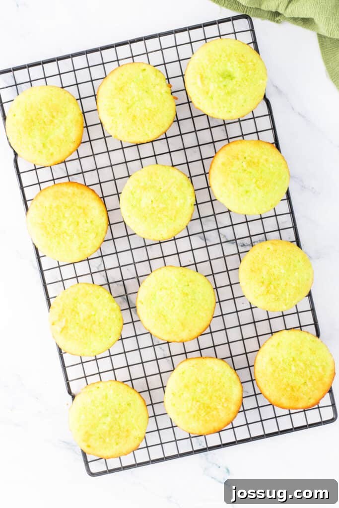 Baked coconut lime cupcakes cooling on a wire rack