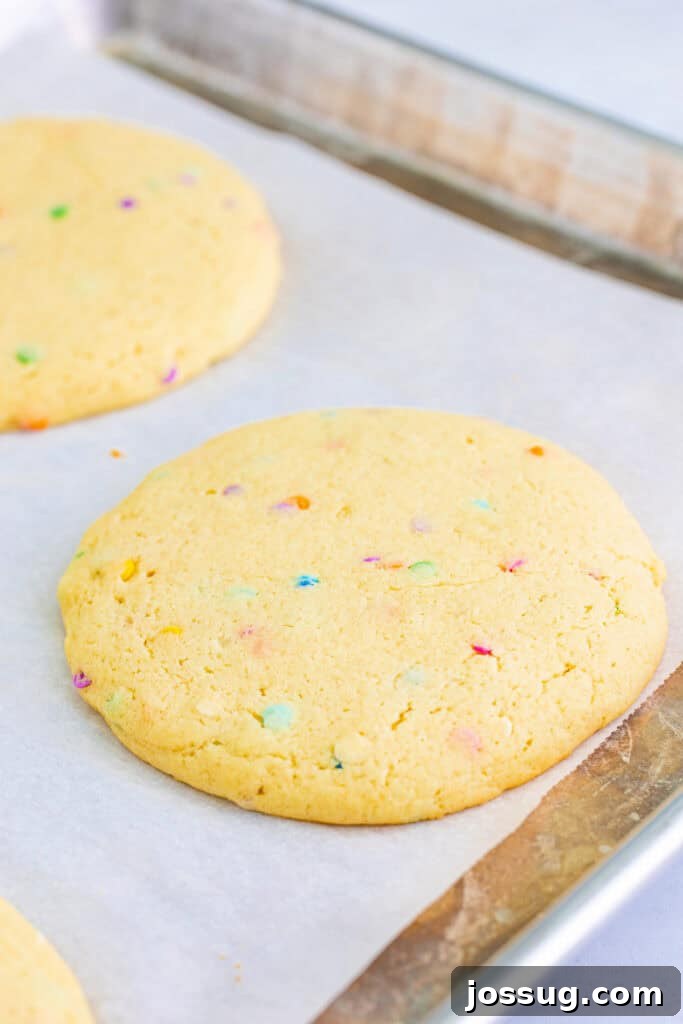 Gourmet Funfetti Sugar Cookies 6 Baked unfrosted confetti cookies cooling on a parchment-lined baking sheet.