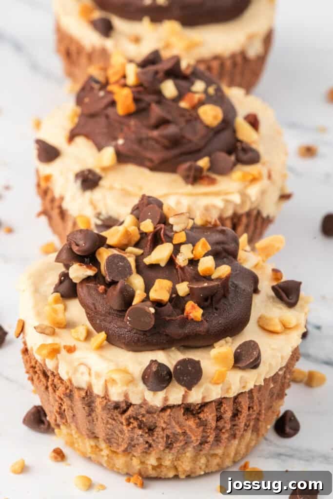 Effortless Chocolate Peanut Butter Cheesecake Bites 2 Three mini cheesecakes topped with chocolate ganache, mini chocolate chips, and chopped peanuts arranged in a row.