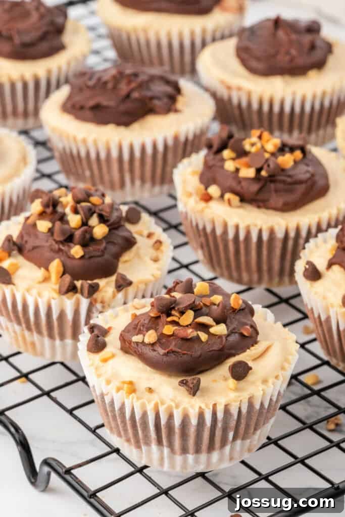 Effortless Chocolate Peanut Butter Cheesecake Bites 6 Finished mini cheesecakes topped with chocolate ganache, chopped peanuts, and mini chocolate chips cooling on a wire rack.