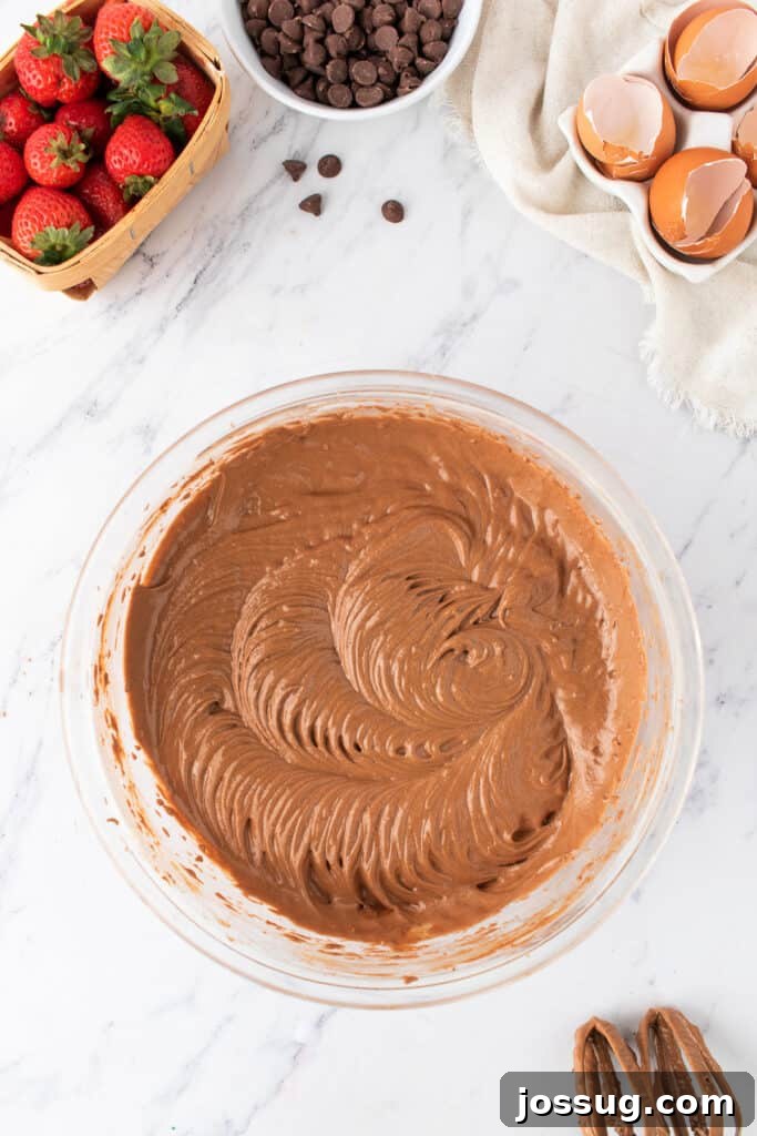 Bowl of chocolate cake batter with smooth, swirled texture, surrounded by fresh strawberries and chocolate chips.
