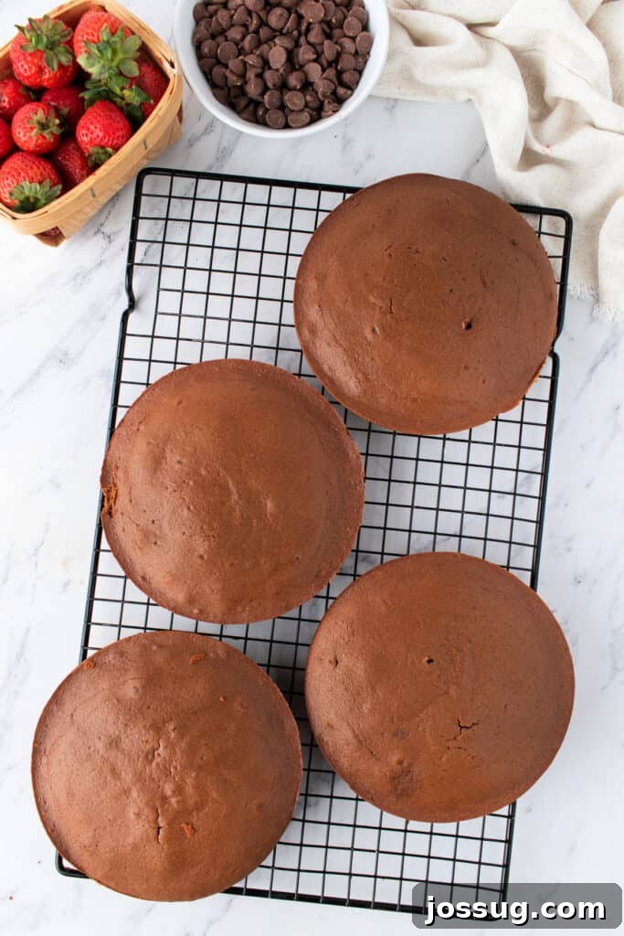 Four baked chocolate cake layers cooling on a wire rack, with fresh strawberries and chocolate chips in the background.