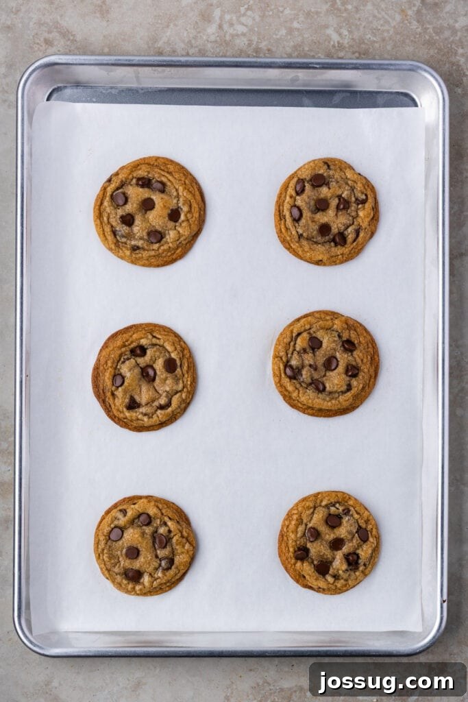 A warm baking sheet fresh from the oven, laden with freshly baked brown butter sourdough chocolate chip cookies, their edges golden and centers slightly soft, with visible melted chocolate.